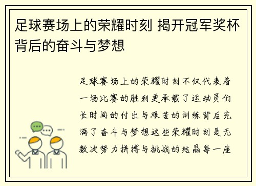 足球赛场上的荣耀时刻 揭开冠军奖杯背后的奋斗与梦想
