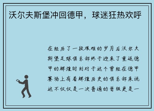 沃尔夫斯堡冲回德甲，球迷狂热欢呼
